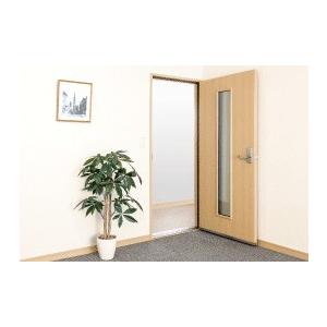 防音ドア 固定枠 大窓付 Kawai カワイ音響システム 防音扉 ナサール Nas Al Hlfm 0818 取付サービスなしドアのみ車上渡し Hlfm0818 テルショップ ジャパン Yahoo 店 通販 Yahoo ショッピング