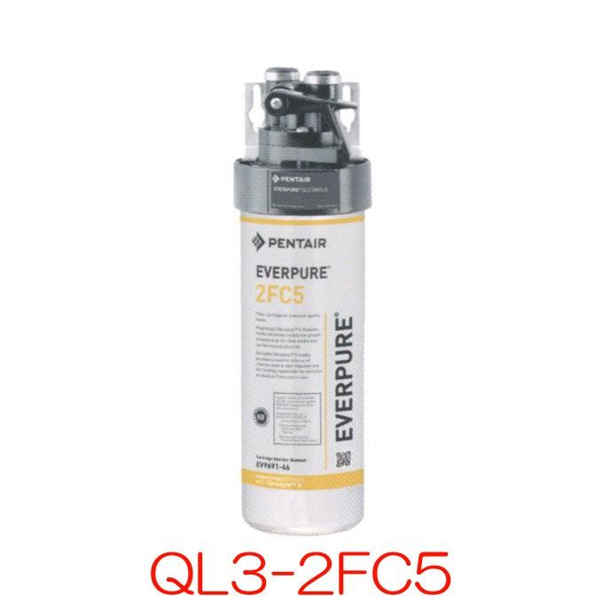 エバーピュア（EVERPURE） 業務用浄水器 QL3-2FC5 : テルショップ