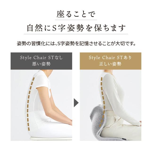 Style Chair ST スタイルチェア エスティー -Wellness Chair- スタイル