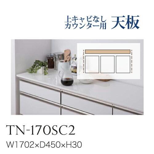 綾野製作所 ユニット式食器棚 BASIS ベイシス カウンター天板 奥浅 上面連結穴なし TN-170SC2 代引き不可