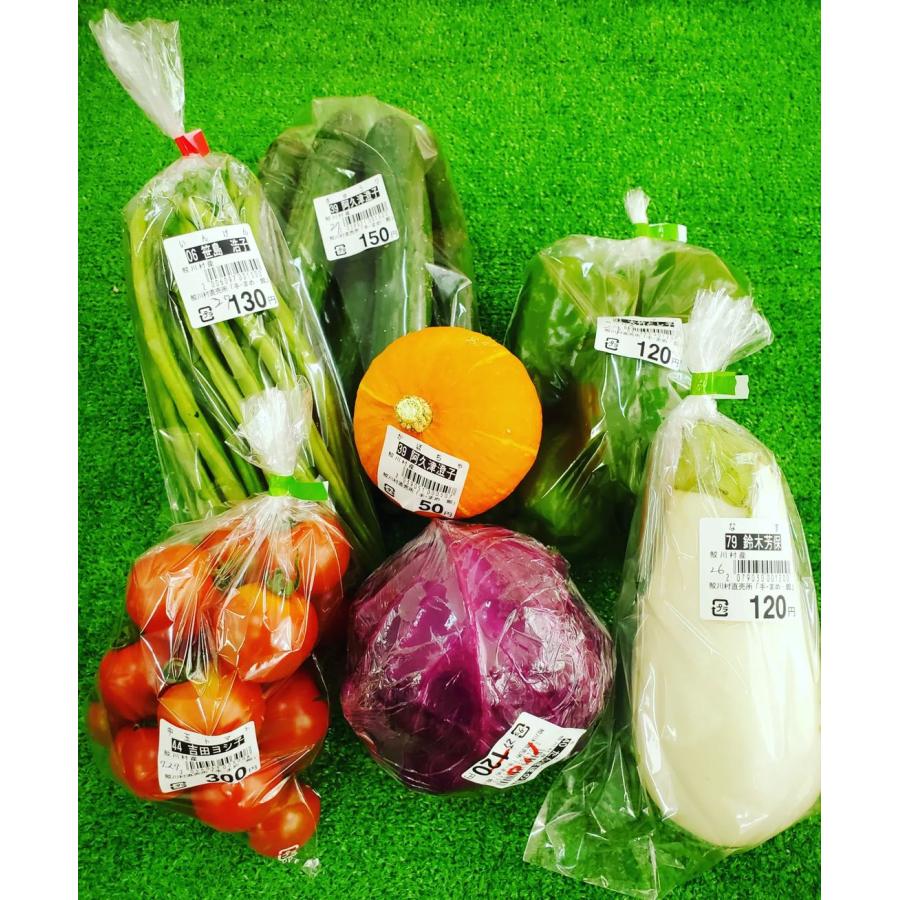 鮫川村 野菜・加工品お任せセット 産地直送 旬のとれたてやさい 福島県