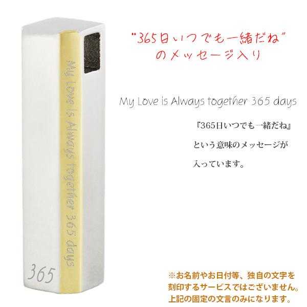 遺骨ペンダント ステンレス メモリアルペンダント Remains Pendant Type005 ノンアレルギー アッシュペンダント レディース ロケット Th P005 手元供養本舗ヤフー店 通販 Yahoo ショッピング