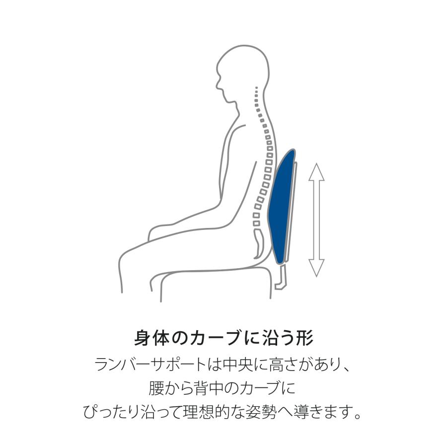 テンピュール（TEMPUR） ランバーサポート クッション 背中クッション