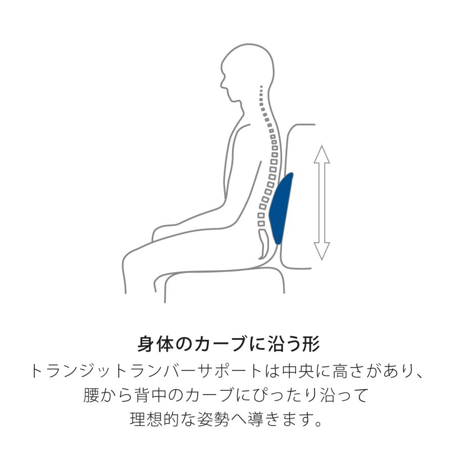 テンピュール トランジットランバーサポート 腰当てクッション　腰　腰痛　背中 137299_1.jpg
