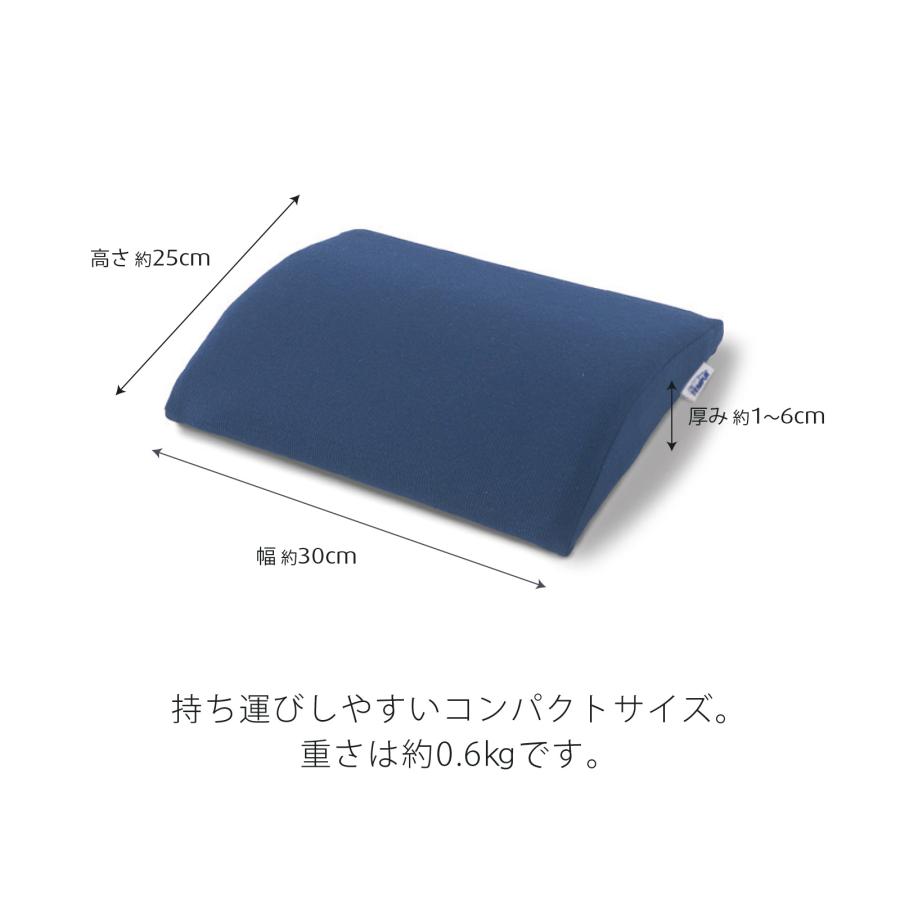 テンピュール（TEMPUR） トランジットランバーサポート 3年保証 シート