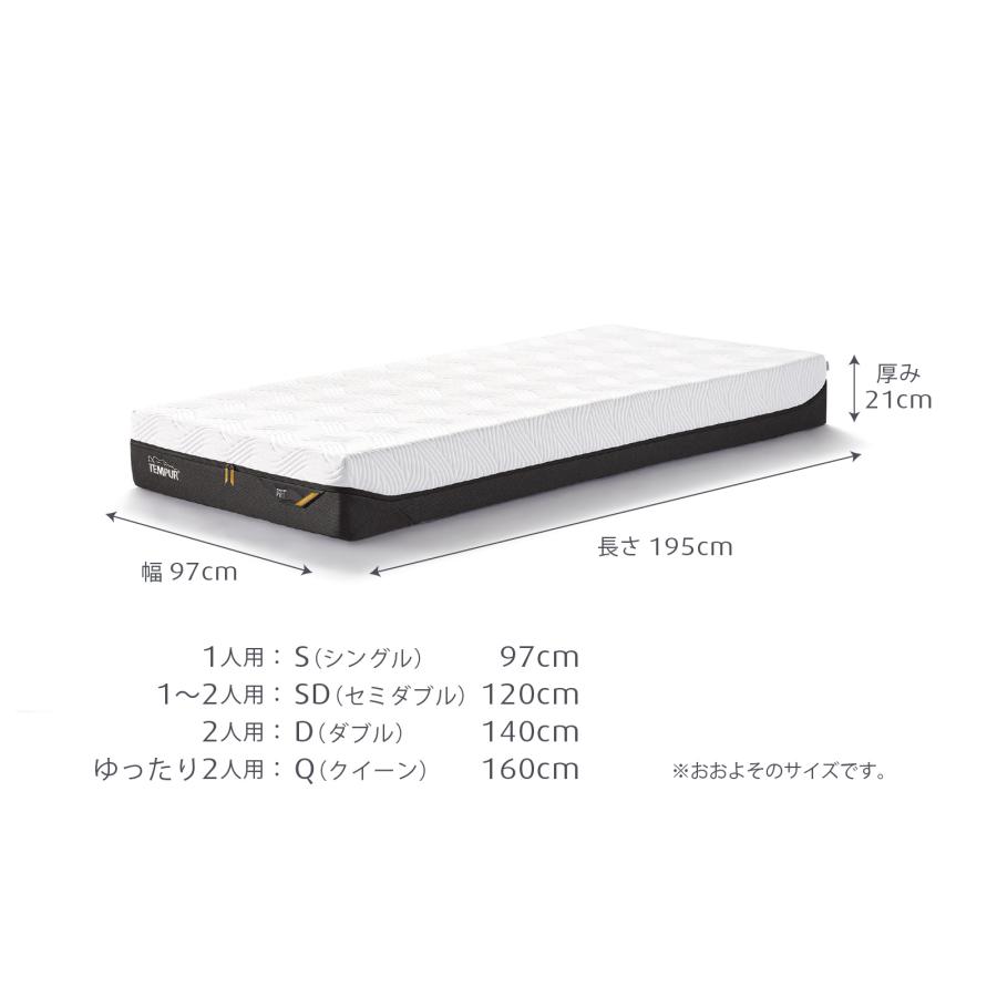 テンピュール マットレスと電動ベッドのセット ダブル | プロ テンピュール マットレスと電動ベッドのセット ダブル | プロ