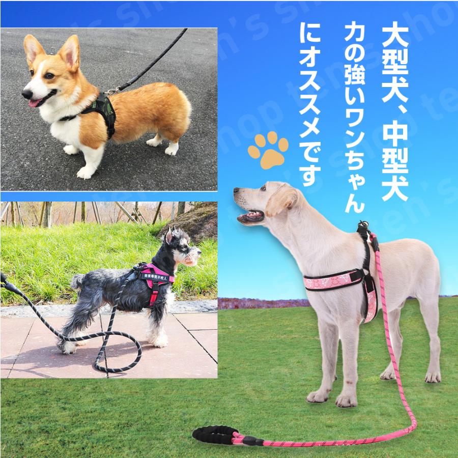 リード 犬 頑丈 おしゃれ 太い お散歩 丈夫 軽量 中型犬 大型犬 夜間
