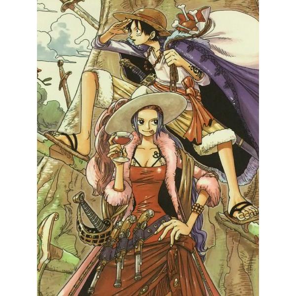 ワンピース グッズ ワンピース 扉絵 マイクロファイバー タオル パイレーツ柄 Op Tb Mkrt 天天ストア 通販 Yahoo ショッピング