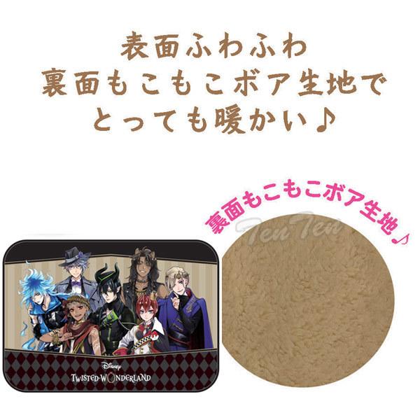 ツイステッド ワンダーランド グッズ ディズニー ツイステッドワンダーランド ふわもこブランケット 集合