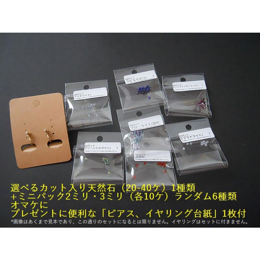 ポイント5倍・キラキラ天然石アソートパック!!好きな天然石1種類(2〜30 