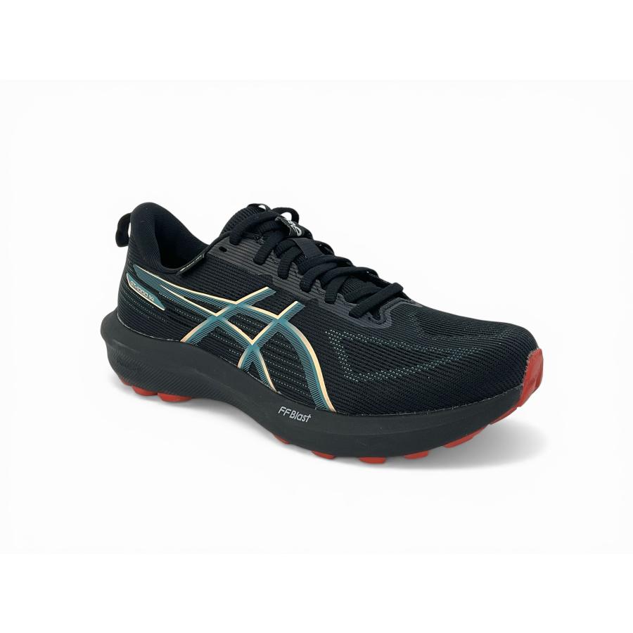 ASICS（アシックス） ランニングシューズ GT-1000 14 GTX メンズ
