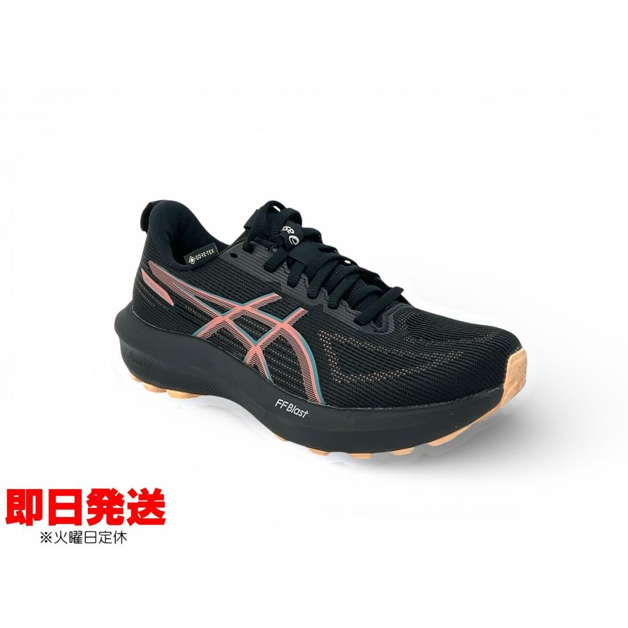 ASICS（アシックス） ランニングシューズ GT-1000 14 GTX レディース