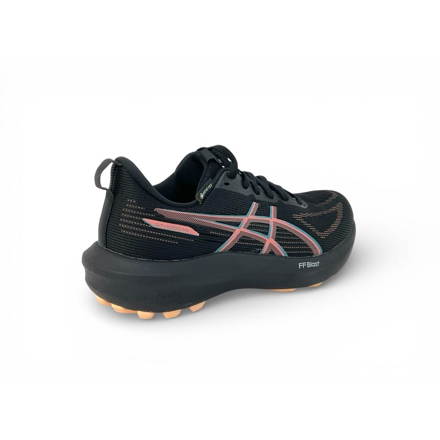 ASICS（アシックス） ランニングシューズ GT-1000 14 GTX レディース