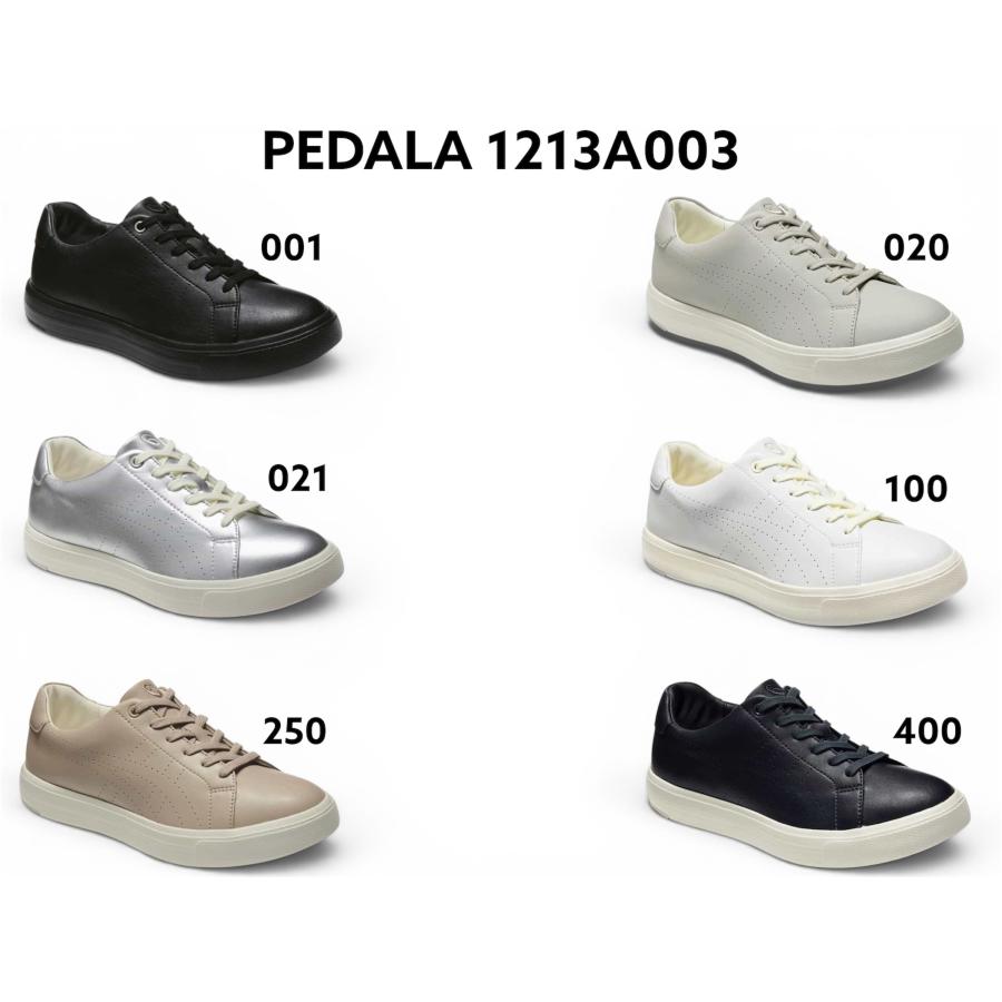 1213a003