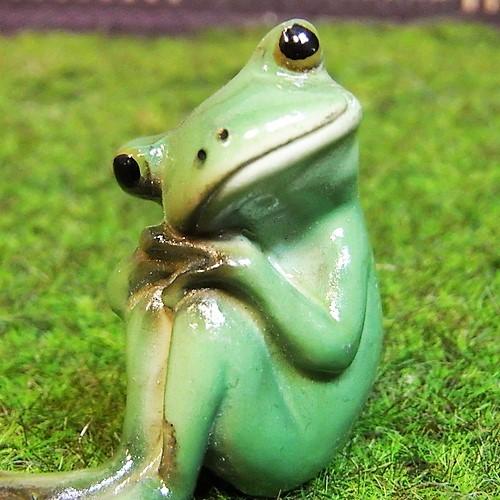 カエル 可愛い 置物 小さいサイズ 三角座り ポリストーン W 004 可愛い雑貨屋 Ten6duca Yahoo 店 通販 Yahoo ショッピング