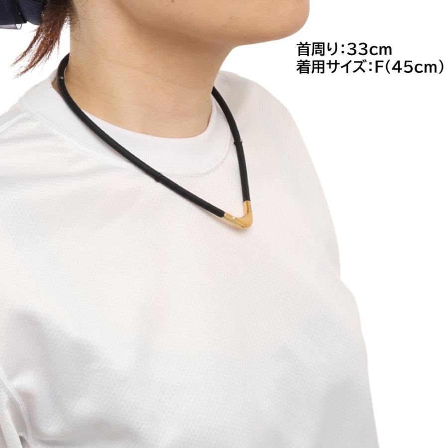 Phiten（ファイテン） RAKUWA 磁気チタンネックレス S-2 45cm BK/GD45
