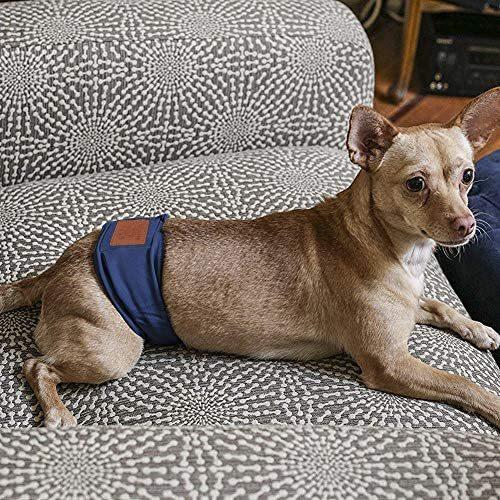 犬用 マナーベルト マナーバンド 2枚セット オムツカバー おしっこ 失禁 マーキング防止 老犬 介護用 お漏らし対策 マナーウェア 男の子 S Ten Ude03g3ge400 天秤堂 ヤフー店 通販 Yahoo ショッピング