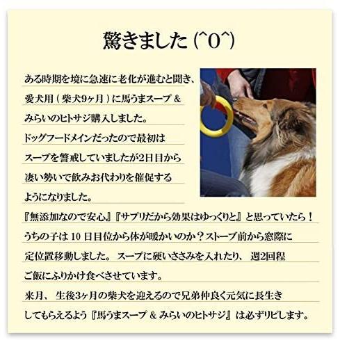 無添加 国産 犬の手作りご飯 馬うま スープ 粉末 秋ウコン 馬肉で出来たドッグフード 100g Ten Ude03h3hc 天秤堂 ヤフー店 通販 Yahoo ショッピング