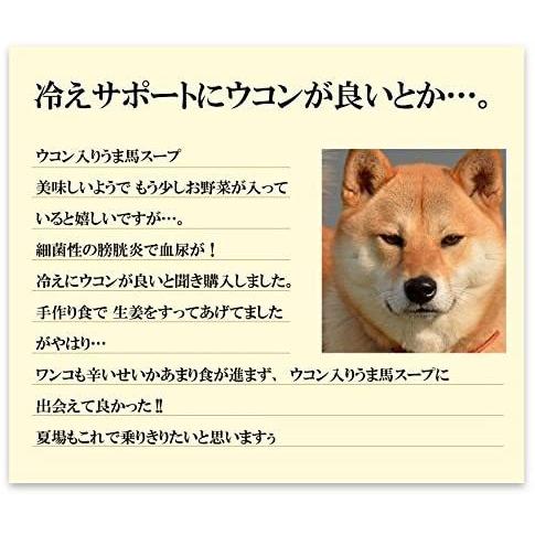 無添加 国産 犬の手作りご飯 馬うま スープ 粉末 秋ウコン 馬肉で出来たドッグフード 100g Ten Ude03h3hc 天秤堂 ヤフー店 通販 Yahoo ショッピング