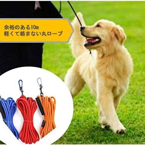 バリューガーデン Value Garden 丸形 ロングリード 選べる 4色 10m 軽量 丸ロープ 中型犬 大型犬用 伸縮性抜群 スカイブルー Ten Ude03l0ia 天秤堂 ヤフー店 通販 Yahoo ショッピング