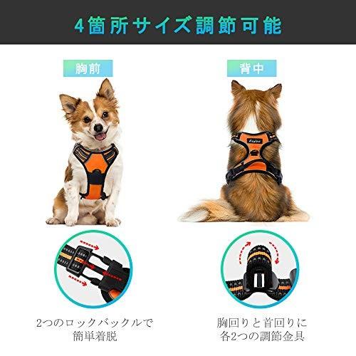 ハーネス 犬 大型犬 18 34kg 用 引っ張り防止 ソフト 犬用 胴輪 着脱簡単 サイズ調節可 抜けない はーねす しつけ オレンジ L Ten Ufb16i0gf 天秤堂 ヤフー店 通販 Yahoo ショッピング