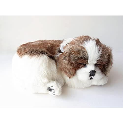 パーフェクトペット スヤスヤ息をしてるようにお腹が動くぬいぐるみ シーズー 小 小 Ten Unv30m3ih 天秤堂 ヤフー店 通販 Yahoo ショッピング