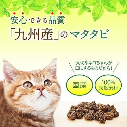 猫用 天然 100 マタタビ 乾燥 実 30g おもちゃ しつけ つめとぎ 無添加 安心 九州産 チャック付き袋 30g 30g Ten Vfb06l3eh 天秤堂 ヤフー店 通販 Yahoo ショッピング