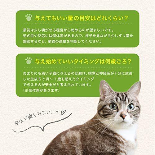 猫用 天然 100 マタタビ 乾燥 実 30g おもちゃ しつけ つめとぎ 無添加 安心 九州産 チャック付き袋 30g 30g Ten Vfb06l3eh 天秤堂 ヤフー店 通販 Yahoo ショッピング