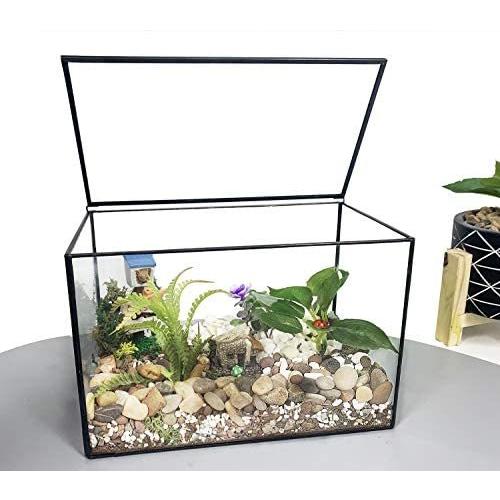 Ferrisland エア植物 シダ Catci 小植物幾何ガラス 容器 多肉植物鉢 おしゃれ 苔テラリウム 初心者 癒し グリーン Ten Vfb18i0bb026 天秤堂 ヤフー店 通販 Yahoo ショッピング