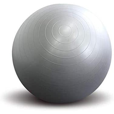 バーゲンで バランスボール エクササイズマニュアル 空気入れ付き 体幹トレーニング インナーマッスル フィットネス ヨガ シルバー 65cm バランスボール Www We Job Com