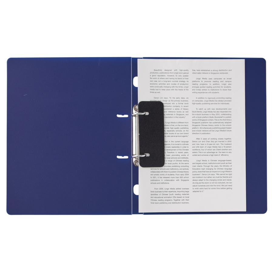 LIHIT LAB.（リヒトラブ） F-7005-11 CUBE FIZZ リングファイル