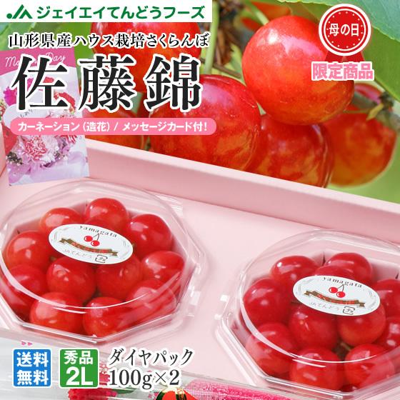 母の日 ギフト さくらんぼ 2026 佐藤錦 2L玉 秀品 100g×2 山形県産