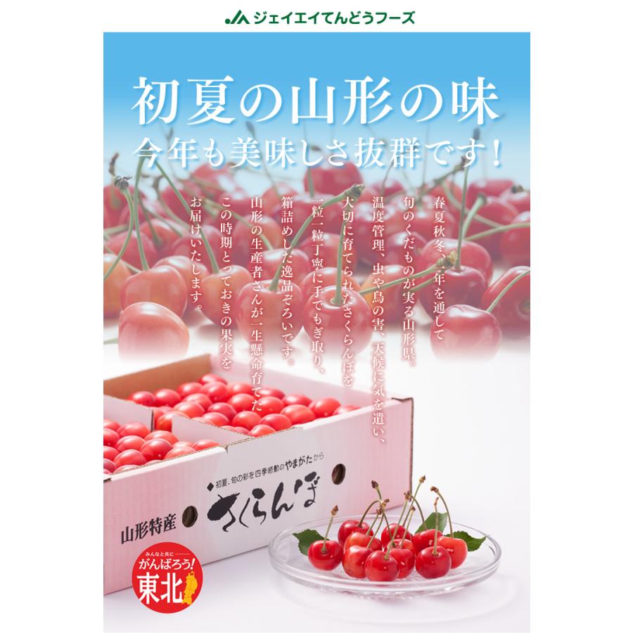 予約商品 さくらんぼ 送料無料 山形県産 品種おまかせ Mサイズ以上 ご