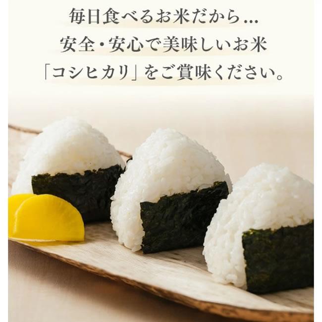新米 お米 5kg 精米 千葉県産 令和7年 コシヒカリ 5kg（5kg×1袋） 送料