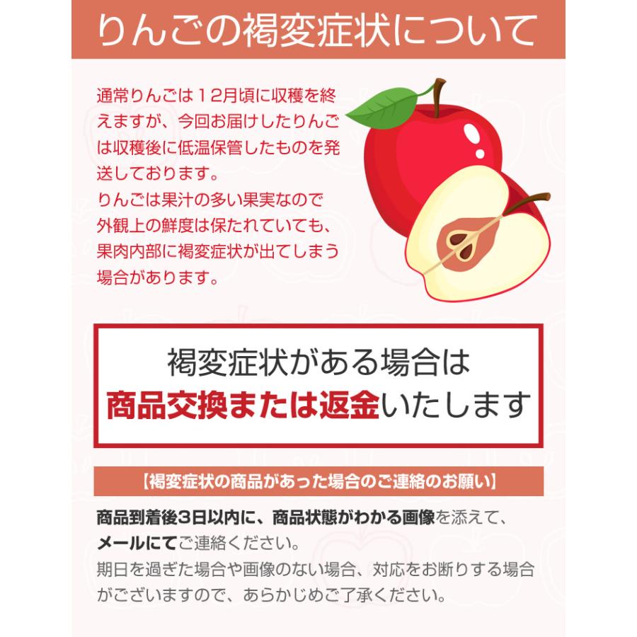 訳あり 青森県産 サンふじ リンゴ 約10kg ご自宅用  林檎 青森 送料無料(一部地域別途送料)｜tendofoods｜03