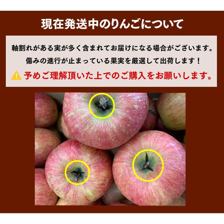 訳あり 青森県産 サンふじ リンゴ 約10kg ご自宅用  林檎 青森 送料無料(一部地域別途送料)｜tendofoods｜04