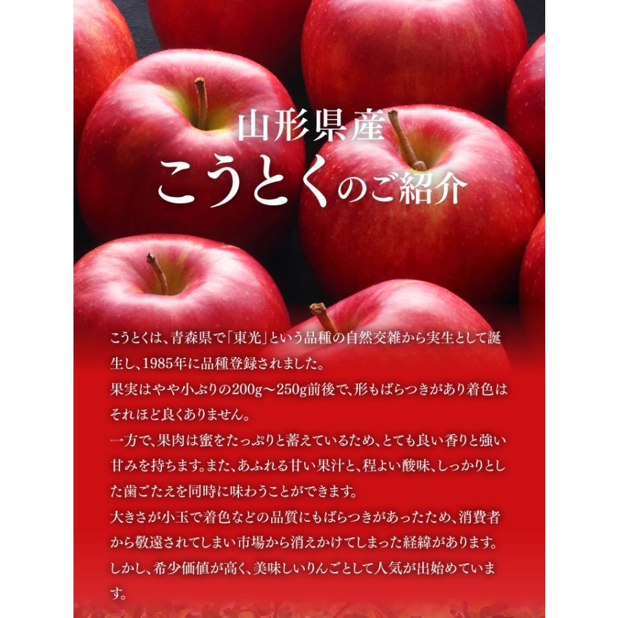 りんご 訳あり こうとく リンゴ 約3kg ご自宅用 山形県産 林檎 山形 11月上旬〜11月中旬発送(一部地域別途送料) |  | 03