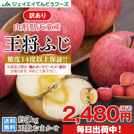 訳あり りんご 山形県天童産 王将ふじ 約5kg リンゴ 林檎 (一部地域
