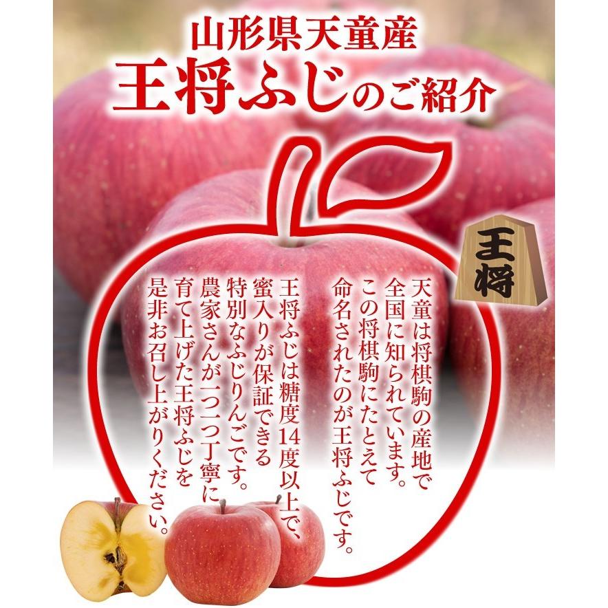 訳あり りんご 山形県天童産 王将ふじ 約5kg リンゴ 林檎 (一部地域