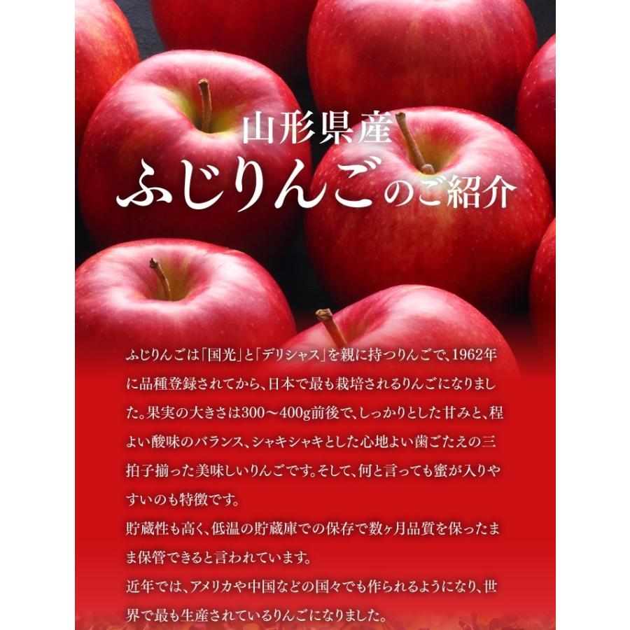 りんご王子⭐️プロフご確認ください 訳あり りんご 山形県天童産 王将ふじ 約5kg リンゴ 林檎 (一部地域