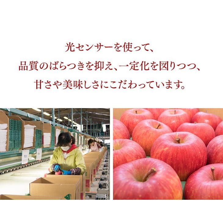 訳あり りんご 山形県天童産 王将ふじ 約5kg リンゴ 林檎 (一部地域