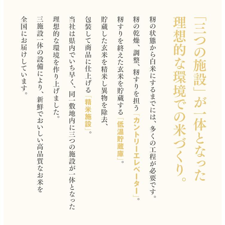 米 10kg ブレンド米 山形県産 送料無料一部地域は別途送料 ryb10｜tendofoods｜04