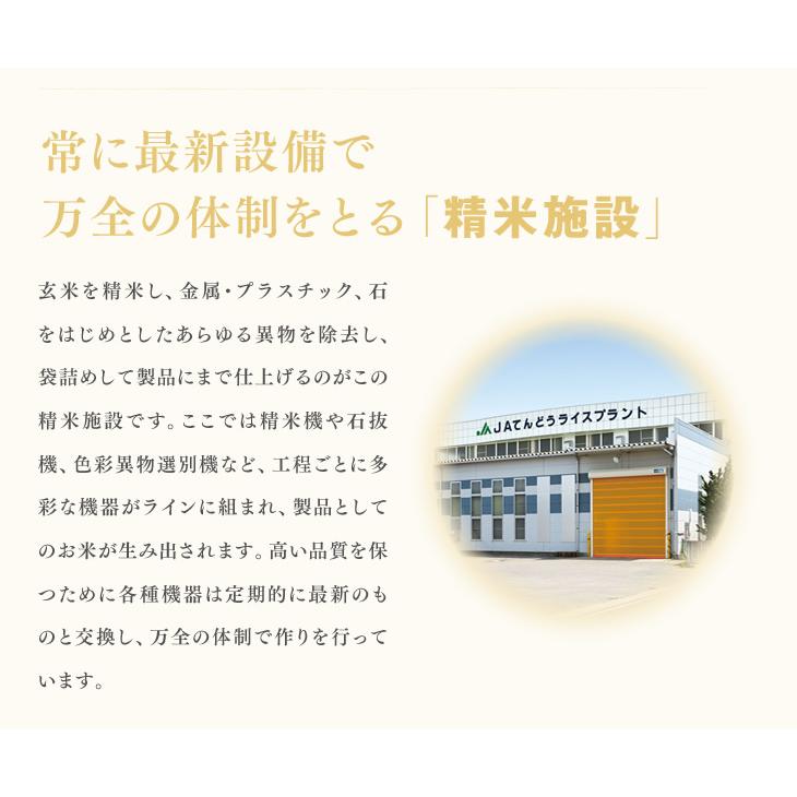 山形県産米100%使用/山形県産ブレンド米20kg(5kg×4) : JA 山形県産米100%使用/山形県産ブレンド米20kg(5kg×4) : JA