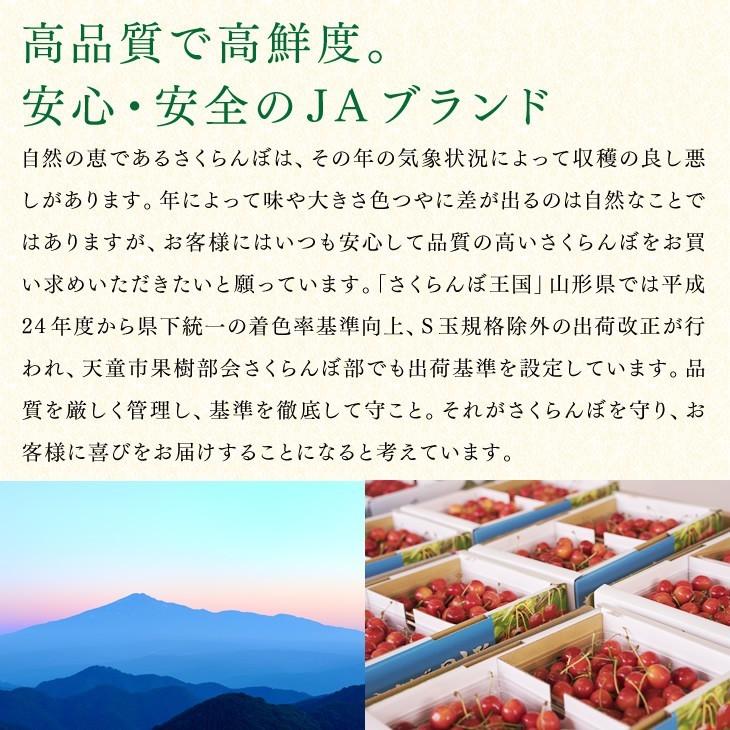 ハウスさくらんぼ 佐藤錦 ギフト L玉 秀品 500g 山形県産 バラパック 送料無料(一部地域を除く) rc07｜tendofoods｜13