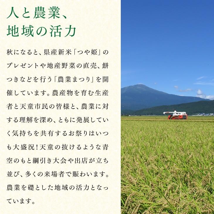 予約商品 さくらんぼ 佐藤錦 ギフト L玉 秀品 500g 山形県産 バラパック JA 産地直送 rc07｜tendofoods｜16