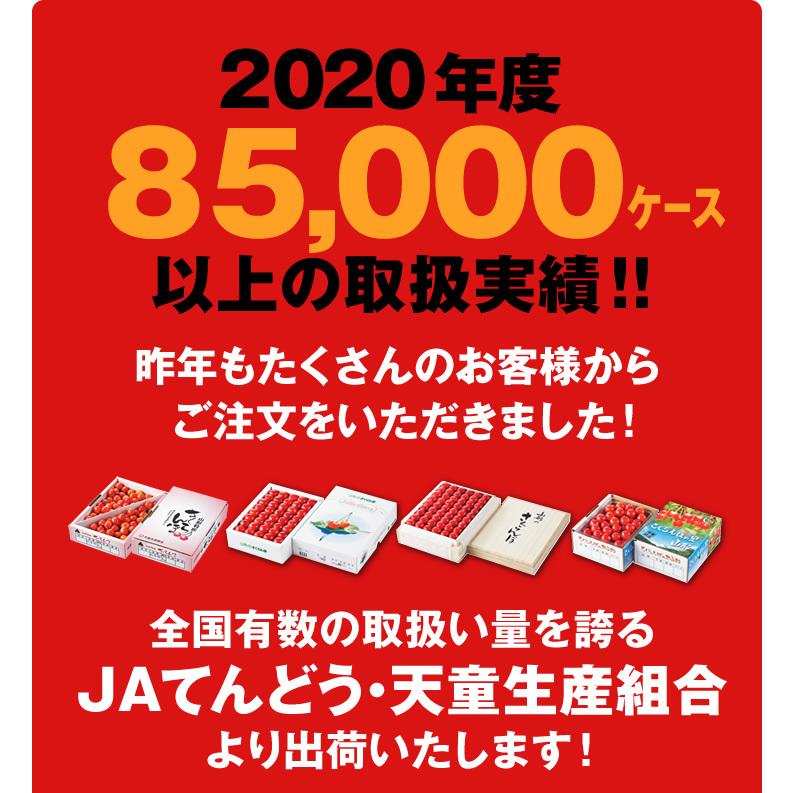 早期予約 ギフト 秀品 山形県天童産さくらんぼ紅秀峰500g×2  2Lサイズ以上  送料無料 rc22｜tendofoods｜14