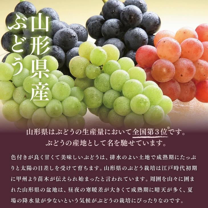 クール便 ぶどう ギフト ハウス栽培 デラウェア 約2kg 10 16房 山形県産 秀品 葡萄 贈答 Gr01 Jaてんどうフーズ うまいもの通販 通販 Paypayモール