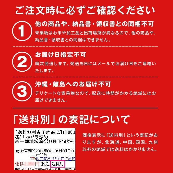 さくらんぼ 山形県産 佐藤錦 約1kg M玉以上 バラ詰め 訳あり 予約 ご自宅用 rc01｜tendofoods｜14