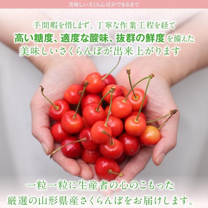 予約商品 さくらんぼ 山形県産 佐藤錦 約1kg M玉以上 バラ詰め 訳あり 