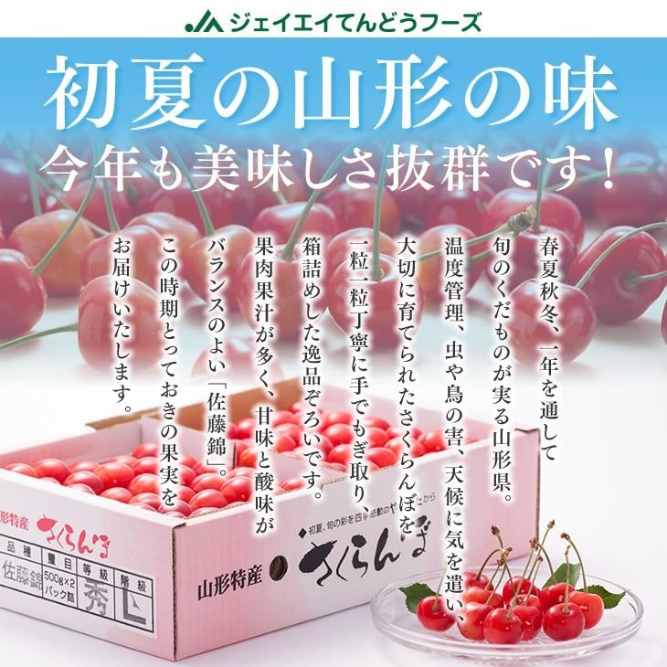 母の日 2026 ギフト 送料無料 さくらんぼ 山形県産 佐藤錦 2Lサイズ